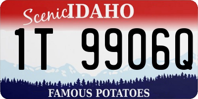 ID license plate 1T9906Q