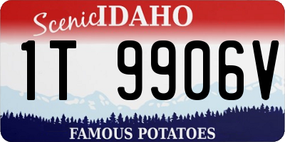 ID license plate 1T9906V