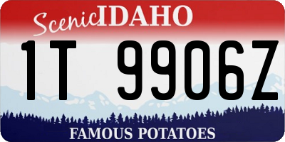 ID license plate 1T9906Z