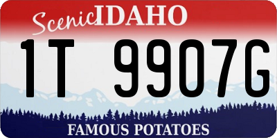 ID license plate 1T9907G