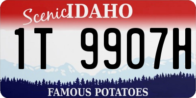 ID license plate 1T9907H