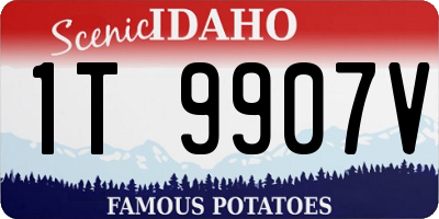 ID license plate 1T9907V