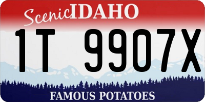ID license plate 1T9907X