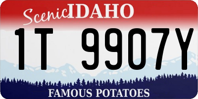 ID license plate 1T9907Y
