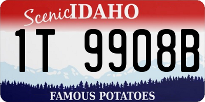 ID license plate 1T9908B