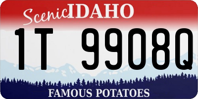 ID license plate 1T9908Q
