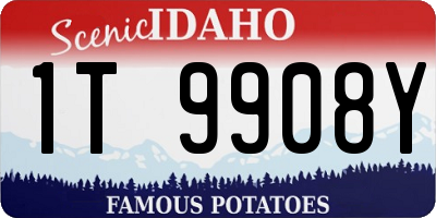 ID license plate 1T9908Y