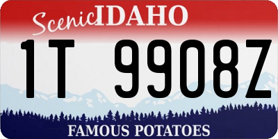 ID license plate 1T9908Z