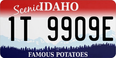 ID license plate 1T9909E