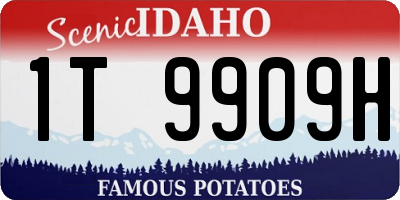 ID license plate 1T9909H
