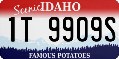 ID license plate 1T9909S