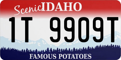 ID license plate 1T9909T