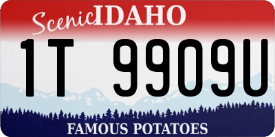 ID license plate 1T9909U
