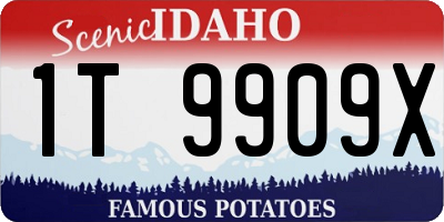 ID license plate 1T9909X
