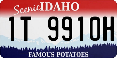 ID license plate 1T9910H