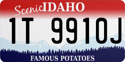 ID license plate 1T9910J