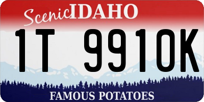 ID license plate 1T9910K