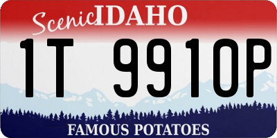 ID license plate 1T9910P