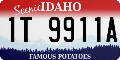 ID license plate 1T9911A