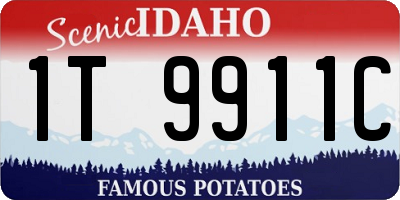 ID license plate 1T9911C