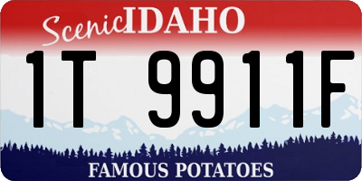 ID license plate 1T9911F