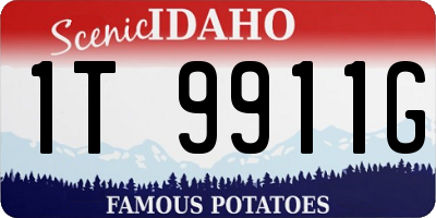 ID license plate 1T9911G