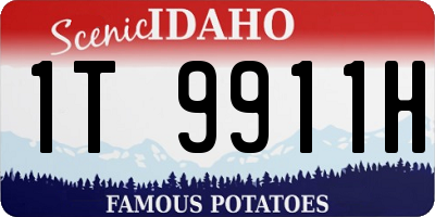 ID license plate 1T9911H
