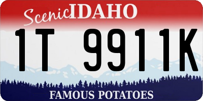 ID license plate 1T9911K
