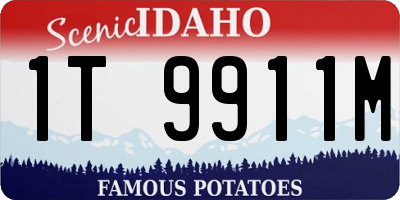 ID license plate 1T9911M