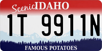 ID license plate 1T9911N