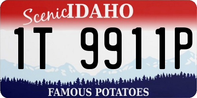 ID license plate 1T9911P