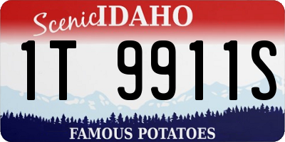 ID license plate 1T9911S