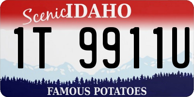 ID license plate 1T9911U