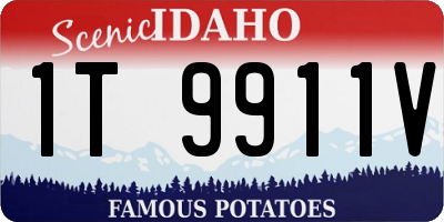 ID license plate 1T9911V