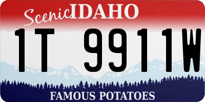 ID license plate 1T9911W