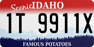 ID license plate 1T9911X