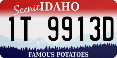 ID license plate 1T9913D