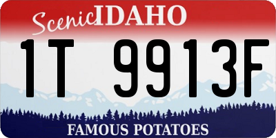ID license plate 1T9913F