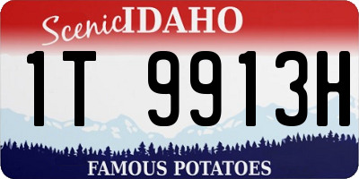 ID license plate 1T9913H
