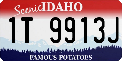 ID license plate 1T9913J
