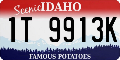 ID license plate 1T9913K