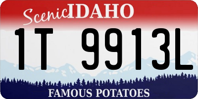 ID license plate 1T9913L