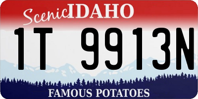 ID license plate 1T9913N