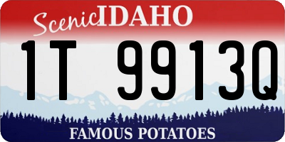 ID license plate 1T9913Q