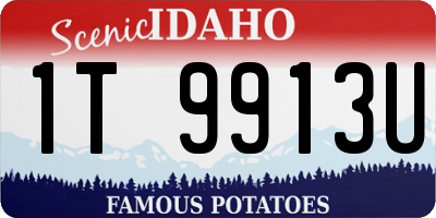 ID license plate 1T9913U
