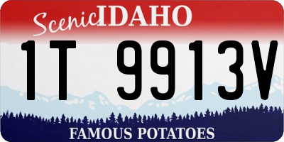 ID license plate 1T9913V