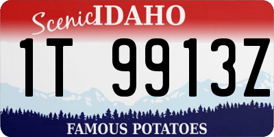 ID license plate 1T9913Z
