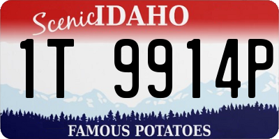 ID license plate 1T9914P