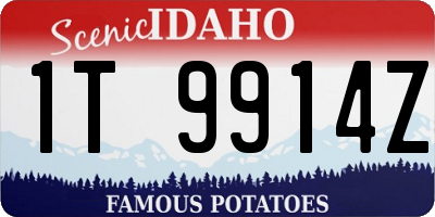 ID license plate 1T9914Z