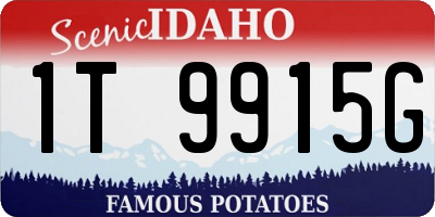 ID license plate 1T9915G